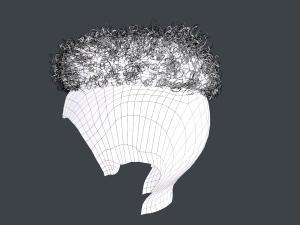Male Hair Cards Style 12 - Curly Hair 2 3D Model