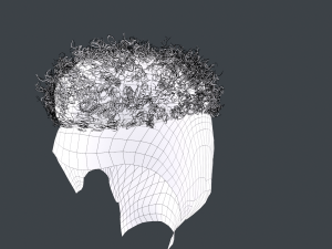 Male Hair Cards Style 12 - Curly Hair 2 3D Model