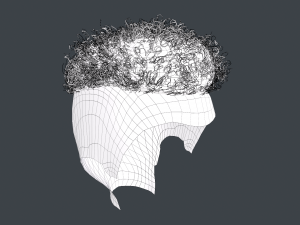 Male Hair Cards Style 12 - Curly Hair 2 3D Model