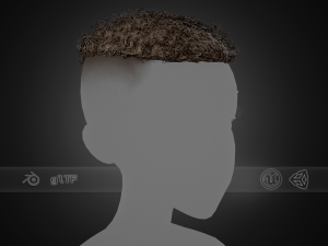 Male Hair Cards Style 13 - Curly Hair 3 3D Model