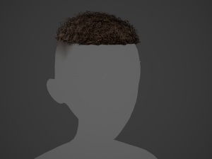 Male Hair Cards Style 13 - Curly Hair 3 Modello 3D