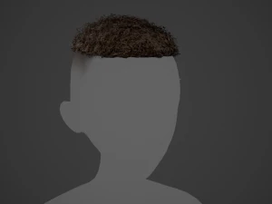 Male Hair Cards Style 13 - Curly Hair 3 3D Model