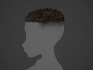 Male Hair Cards Style 13 - Curly Hair 3 3D Model