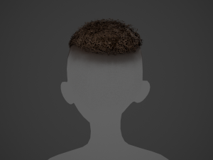 Male Hair Cards Style 13 - Curly Hair 3 Modello 3D