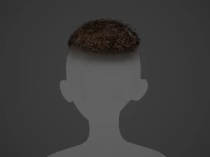 Male Hair Cards Style 13 - Curly Hair 3 3D Model