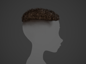 Male Hair Cards Style 13 - Curly Hair 3 Modello 3D