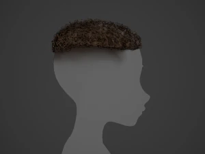Male Hair Cards Style 13 - Curly Hair 3 3D Model