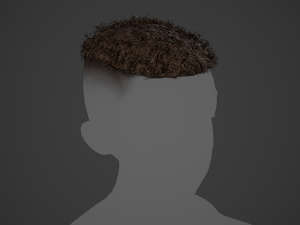 Male Hair Cards Style 13 - Curly Hair 3 Modello 3D