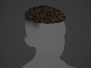 Male Hair Cards Style 13 - Curly Hair 3 3D Model