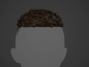 Male Hair Cards Style 13 - Curly Hair 3 3D Model