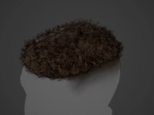 Male Hair Cards Style 13 - Curly Hair 3 3D Model