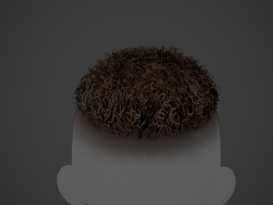 Male Hair Cards Style 13 - Curly Hair 3 Modello 3D