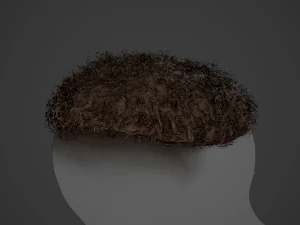 Male Hair Cards Style 13 - Curly Hair 3 3D Model
