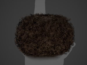 Male Hair Cards Style 13 - Curly Hair 3 Modello 3D
