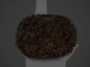 Male Hair Cards Style 13 - Curly Hair 3 3D Model