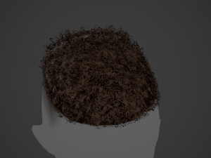 Male Hair Cards Style 13 - Curly Hair 3 Modello 3D
