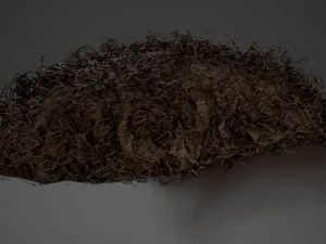 Male Hair Cards Style 13 - Curly Hair 3 3D Model