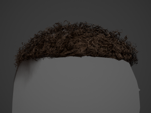 Male Hair Cards Style 13 - Curly Hair 3 Modello 3D