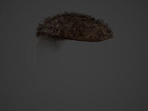 Male Hair Cards Style 13 - Curly Hair 3 Modello 3D
