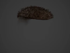 Male Hair Cards Style 13 - Curly Hair 3 3D Model