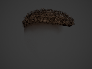 Male Hair Cards Style 13 - Curly Hair 3 Modello 3D