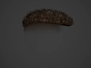Male Hair Cards Style 13 - Curly Hair 3 3D Model