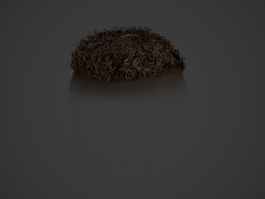 Male Hair Cards Style 13 - Curly Hair 3 Modello 3D