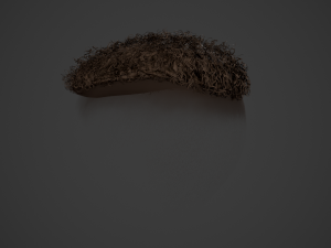 Male Hair Cards Style 13 - Curly Hair 3 Modello 3D