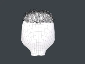 Male Hair Cards Style 13 - Curly Hair 3 3D Model