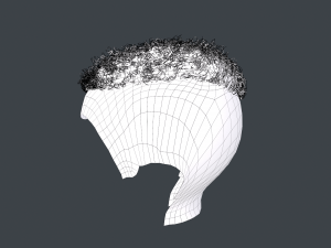 Male Hair Cards Style 13 - Curly Hair 3 Modello 3D