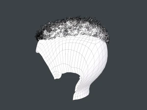 Male Hair Cards Style 13 - Curly Hair 3 3D Model