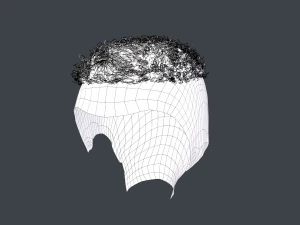 Male Hair Cards Style 13 - Curly Hair 3 3D Model