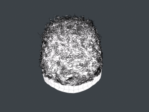 Male Hair Cards Style 13 - Curly Hair 3 Modello 3D
