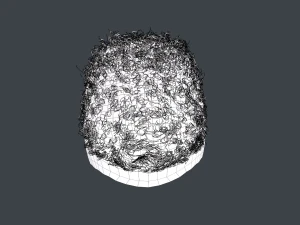 Male Hair Cards Style 13 - Curly Hair 3 3D Model