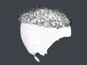 Male Hair Cards Style 13 - Curly Hair 3 3D Model