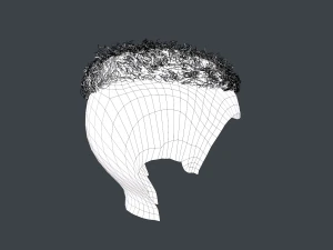 Male Hair Cards Style 13 - Curly Hair 3 3D Model