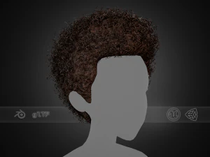 Cartes de cheveux masculins Style 14 - Cheveux boucl&eacute;s 4 Modèle 3D