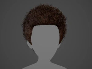 Male Hair Cards Style 14 - Curly Hair 4 3D Model