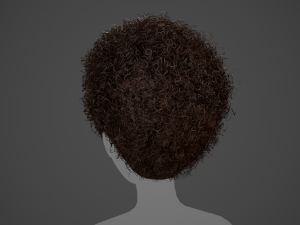 Male Hair Cards Style 14 - Curly Hair 4 3D Model
