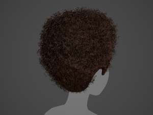 Male Hair Cards Style 14 - Curly Hair 4 3D Model