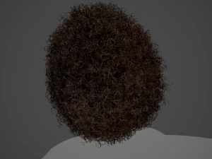 Male Hair Cards Style 14 - Curly Hair 4 3D Model