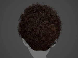 Male Hair Cards Style 14 - Curly Hair 4 3D Model