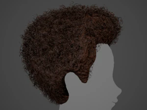 Male Hair Cards Style 14 - Curly Hair 4 3D Model