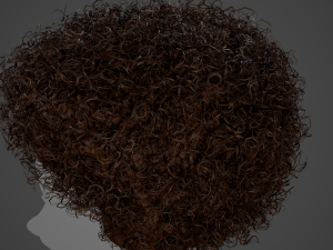Male Hair Cards Style 14 - Curly Hair 4 3D Model