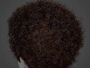 Male Hair Cards Style 14 - Curly Hair 4 3D Model
