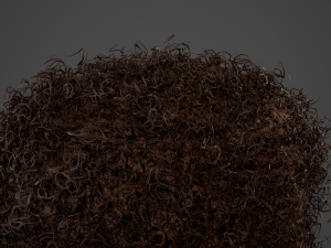 Male Hair Cards Style 14 - Curly Hair 4 3D Model