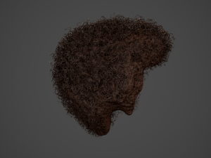 Male Hair Cards Style 14 - Curly Hair 4 3D Model
