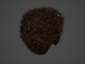 Male Hair Cards Style 14 - Curly Hair 4 3D Model