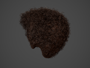Male Hair Cards Style 14 - Curly Hair 4 3D Model