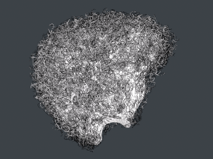 Male Hair Cards Style 14 - Curly Hair 4 3D Model